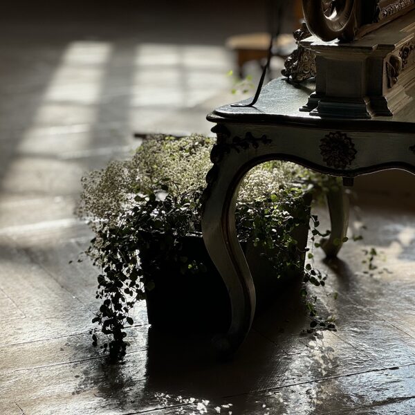 Bažnyčios papuošimas šv. apašt. Jokūbo atlaidams 2024